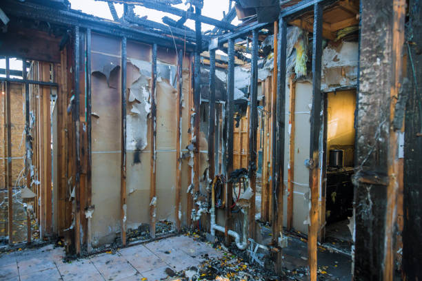 Professional Smoke Damage Removal technician working in Bay City, TX